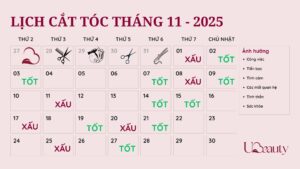 lịch cắt tóc 11-2025